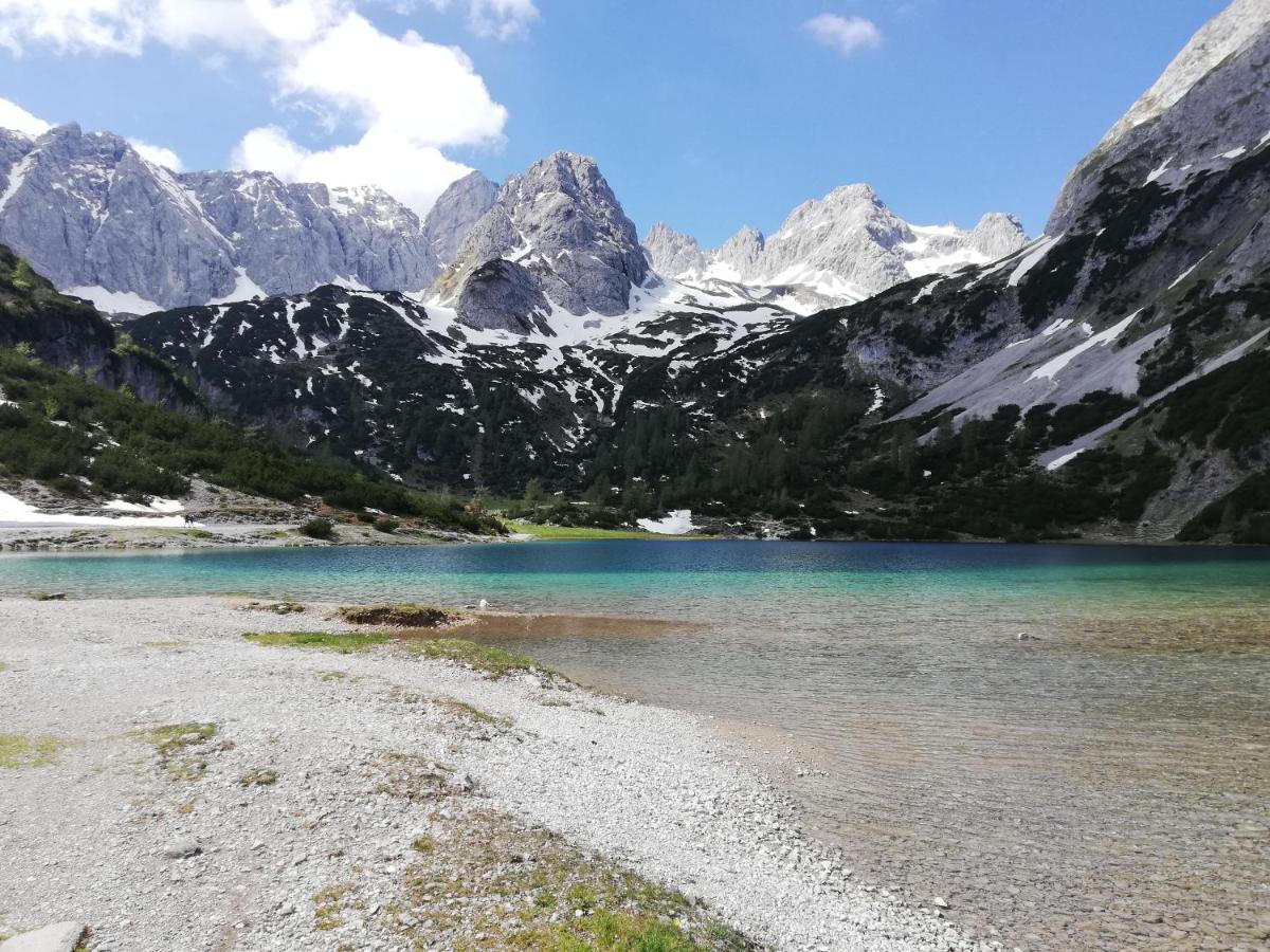 Gaestehaus Wilhelmshof Ehrwald Dış mekan fotoğraf